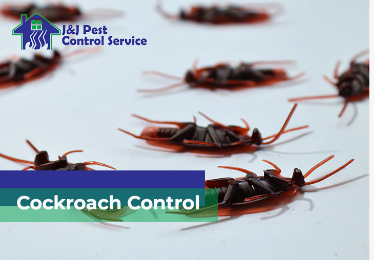 Cockroach Control Quezon City