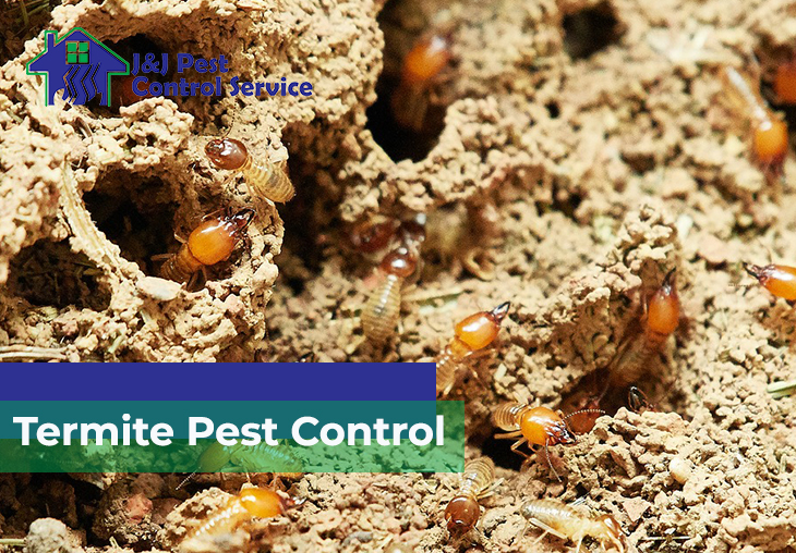 Termite Pest Control Quezon City