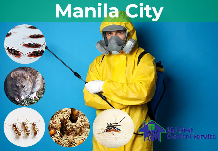 Pest Control Services Manila City Metro Manila