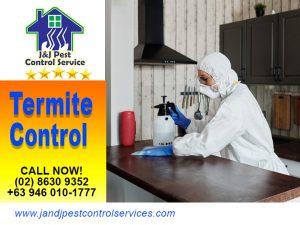 Termite Control Manila City Metro Manila