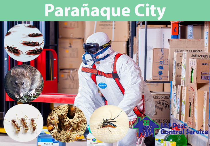 Pest Control Services Parañaque City