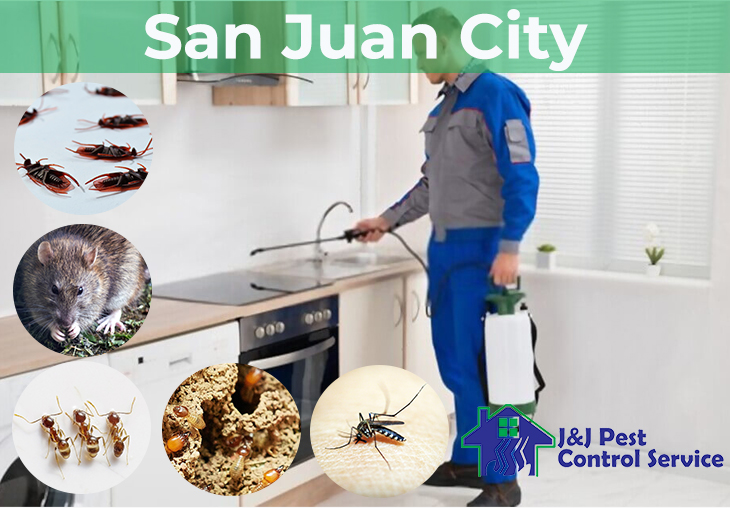 Pest Control Services San Juan City