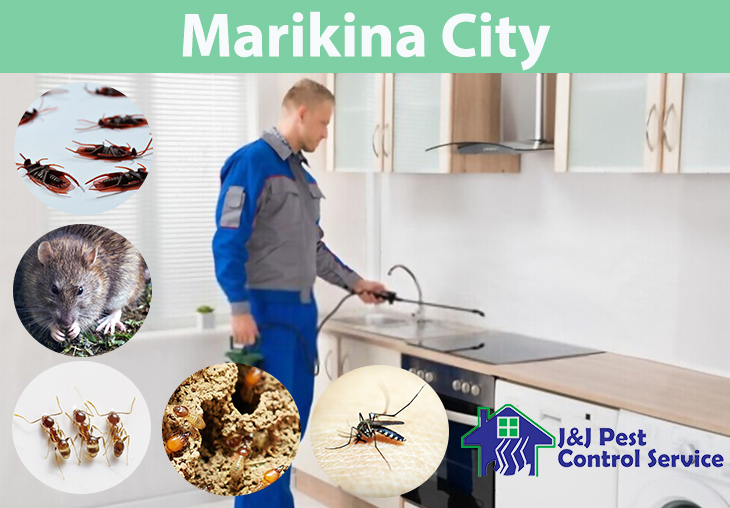 Pest Control Services Marikina City Metro Manila