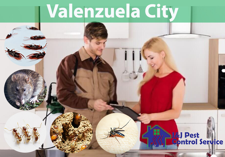 Pest Control Services Valenzuela City