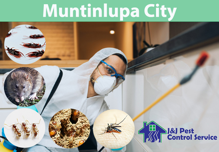 Pest Control Services Muntinlupa City Metro Manila