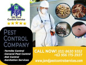 Pest Control Company Makati City MM