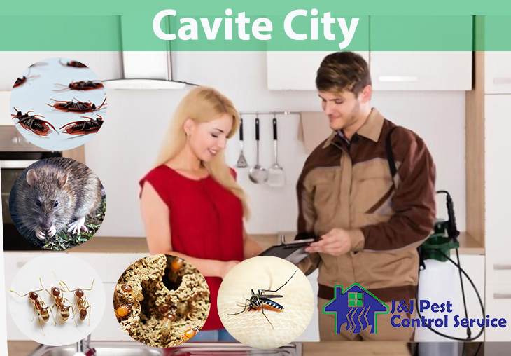 Pest Control Services Cavite City Cavite