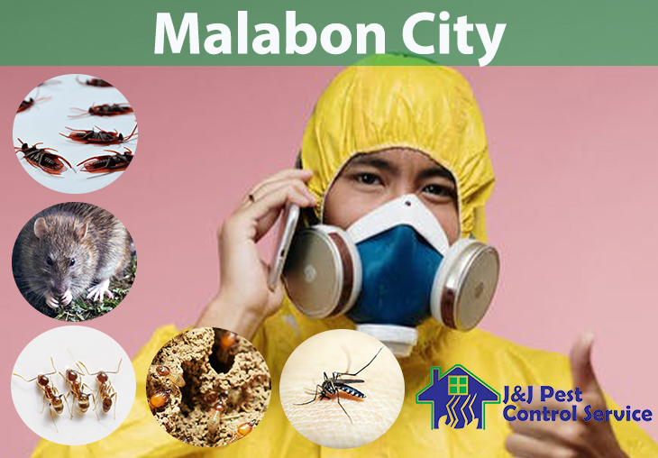 Pest Control Services Malabon City Metro Manila