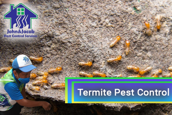 Termite Pest Control Pasig city Metro Manila