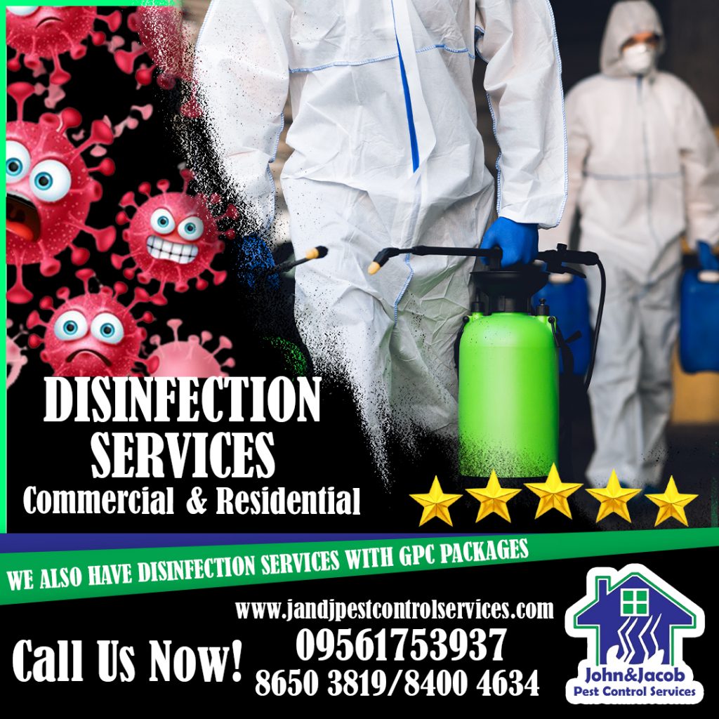 Disinfection Service