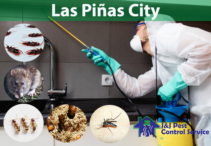 Pest Control Service Las Piñas City