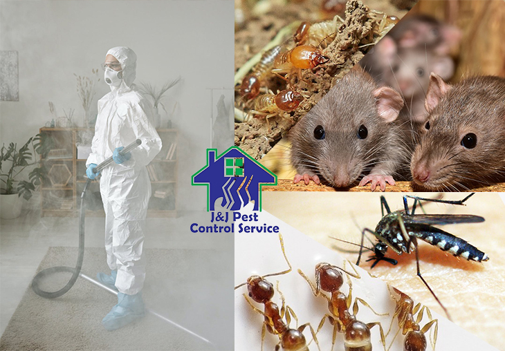 General Pest Control in Quezon City, MM