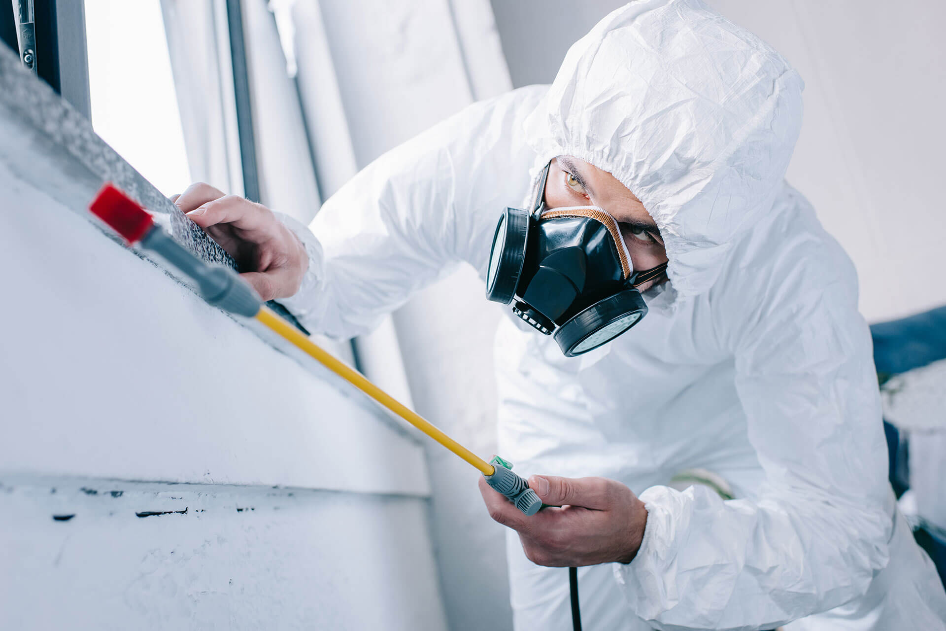 Termite Prevention