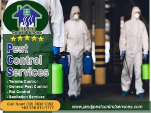 Pest Control Services Quezon City Metro Manila