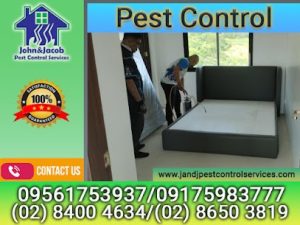 Pest Control Makati, MM