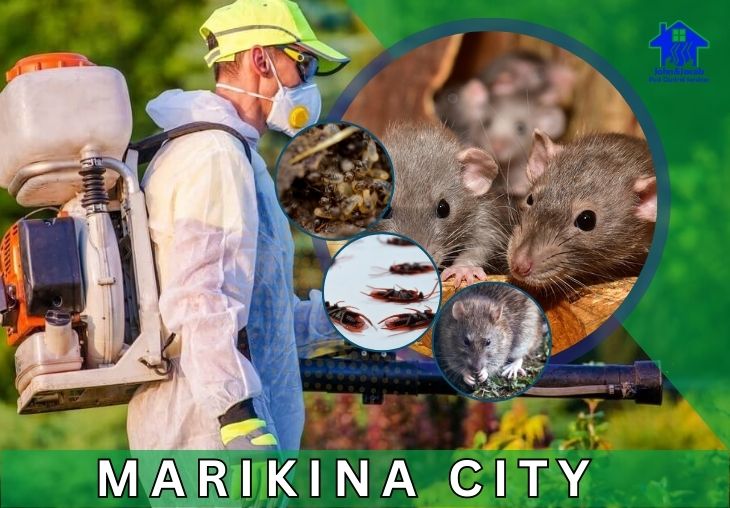 Pest Control Services Marikina City Metro Manila