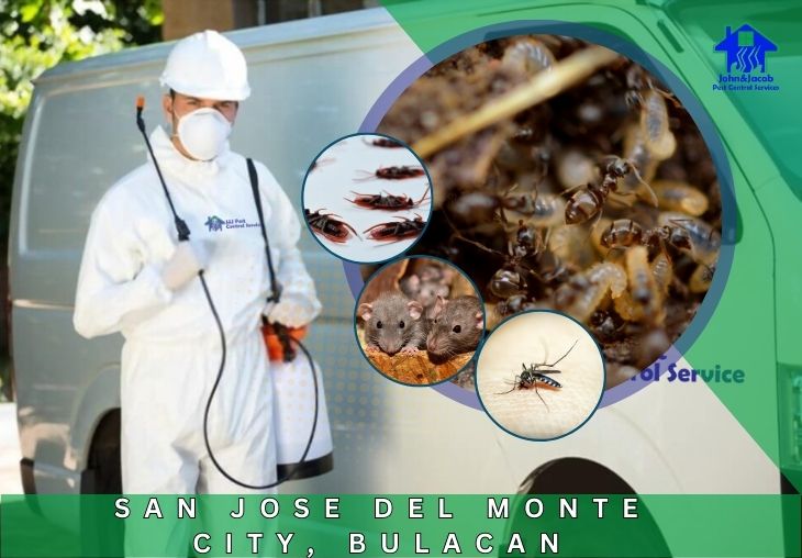 Pest Control Services San Jose Del Monte City, Bulacan