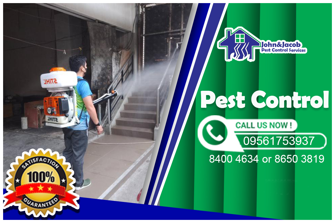5 Benefits of Pest Control in QC, MM John and Jacob Pest Control Services