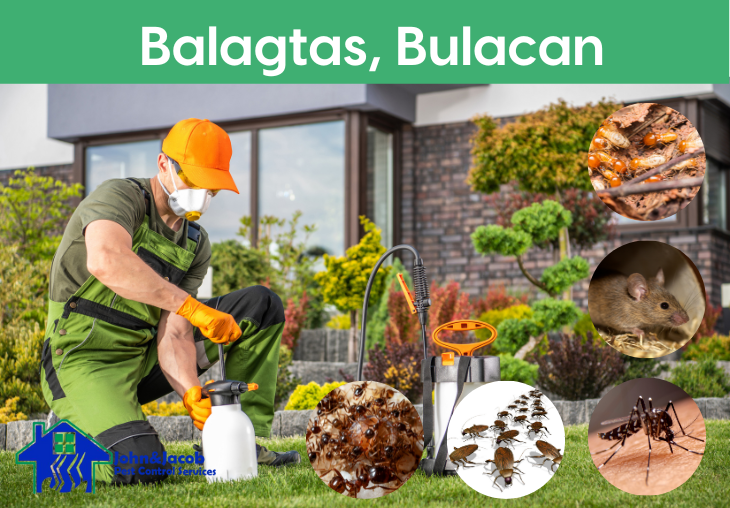 Balagtas, Bulacan MM