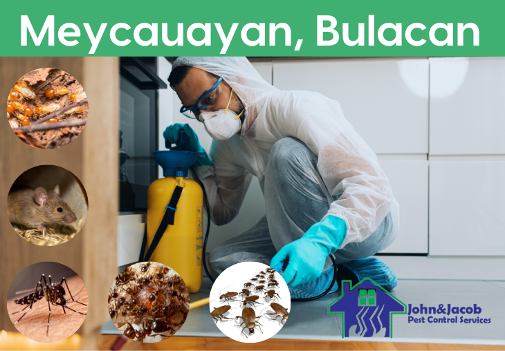 Meycauayan, Bulacan, MM