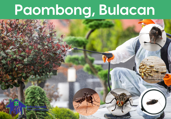 Paombong, Bulacan MM