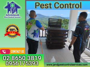 Pest Control Quezon City MM