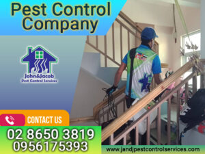 Pest Control Company Quezon City MM