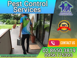 Pest Control Services, Quezon City, MM