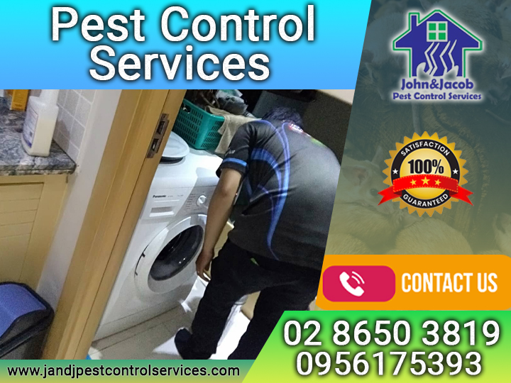 Pest Control Services Quezon City MM