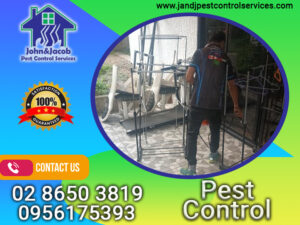 Pest Control in Quezon City MM