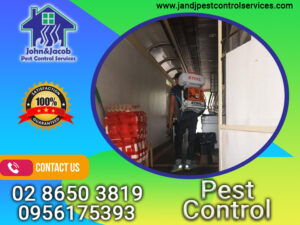 Pest Control Quezon City MM