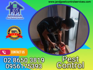 Pest Control Quezon City MM