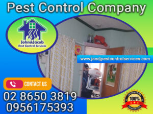 Pest Control Company Quezon City MM