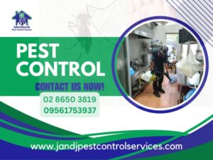 Pest Control Quezon City MM