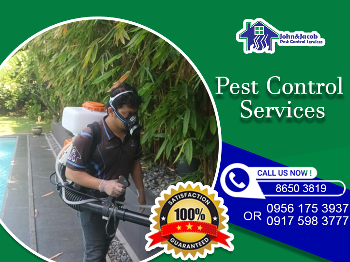 Pest Control Services Quezon City Metro Manila