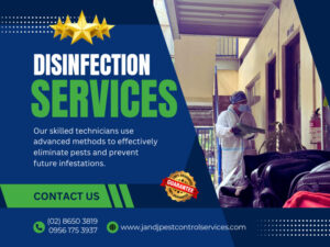 Disinfection Service Quezon City, MM