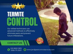 Termite Control Makati City MM