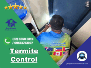 Termite Control San Juan City, MM
