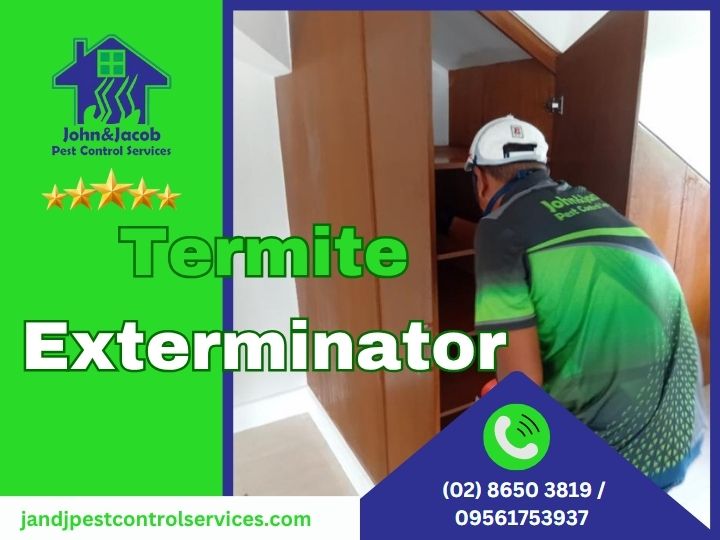 Photo inspiration: Picture Idea: Termite Exterminator In Forbes Park Makati Protecting Your Luxury
