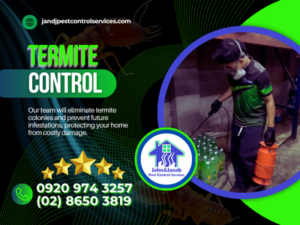 Termite control in Tagaytay City MM